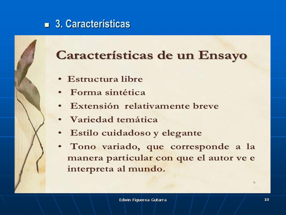 3. Características Edwin Figueroa Gutarra Edwin Figueroa Gutarra 10 10