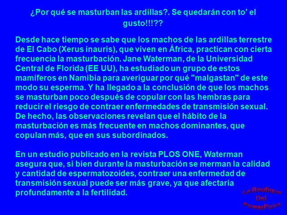 ¿Por qué se masturban las ardillas . Se quedarán con to el gusto!!!