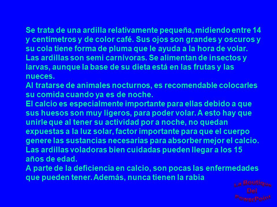 Se trata de una ardilla relativamente pequeña, midiendo entre 14 y centímetros y de color café.