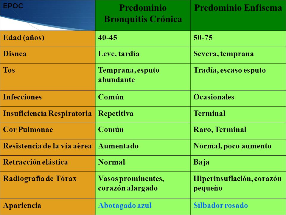 Predominio Bronquitis Crónica