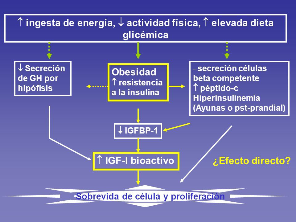  ingesta de energía,  actividad física,  elevada dieta glicémica