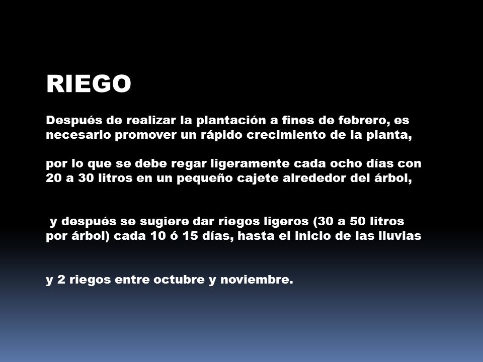Riego Después de realizar la plantación a fines de febrero, es necesario promover un rápido crecimiento de la planta,