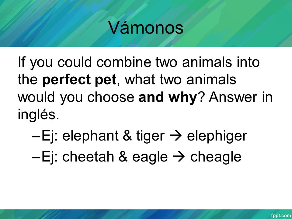 Vámonos If you could combine two animals into the perfect pet, what two animals would you choose and why Answer in inglés.