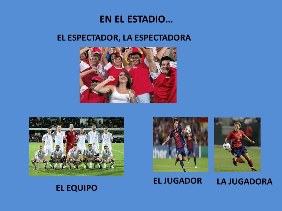EN EL ESTADIO… EL ESPECTADOR, LA ESPECTADORA EL JUGADOR LA JUGADORA