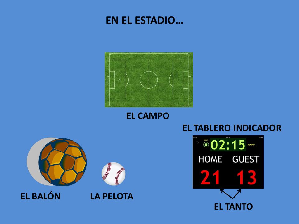 EN EL ESTADIO… EL CAMPO EL TABLERO INDICADOR EL BALÓN LA PELOTA