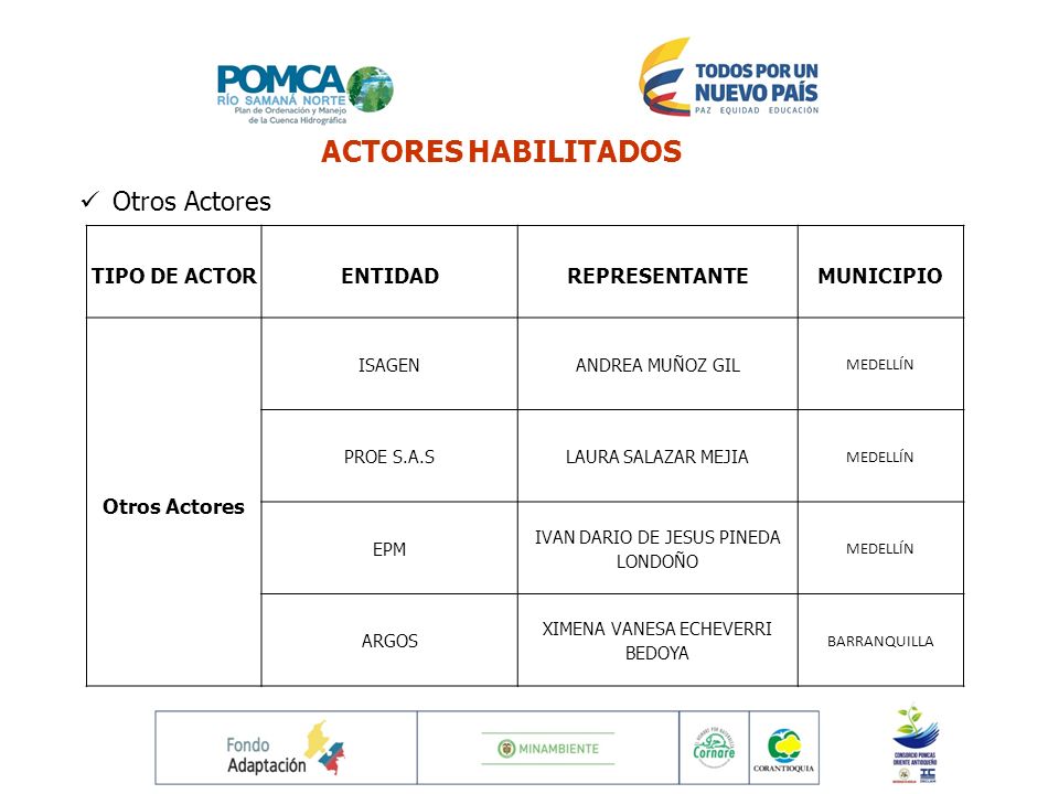 ACTORES HABILITADOS Otros Actores TIPO DE ACTOR ENTIDAD REPRESENTANTE