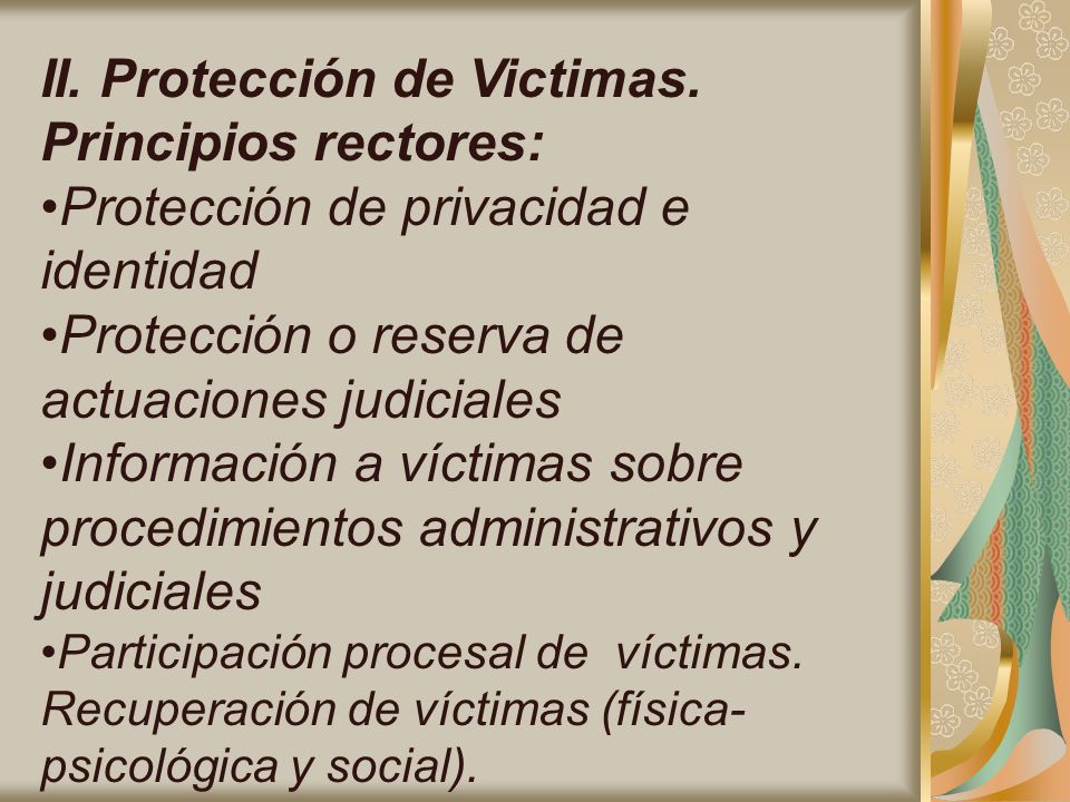 II. Protección de Victimas. Principios rectores: