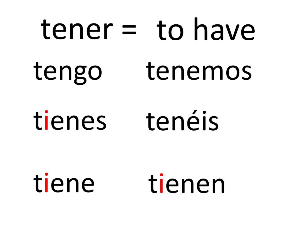 tener = to have tengo tenemos tienes tenéis tiene tienen 1