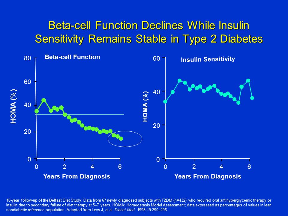 Beta-cell Function Declines While Insulin Sensitivity Remains Stable in Type 2 Diabetes