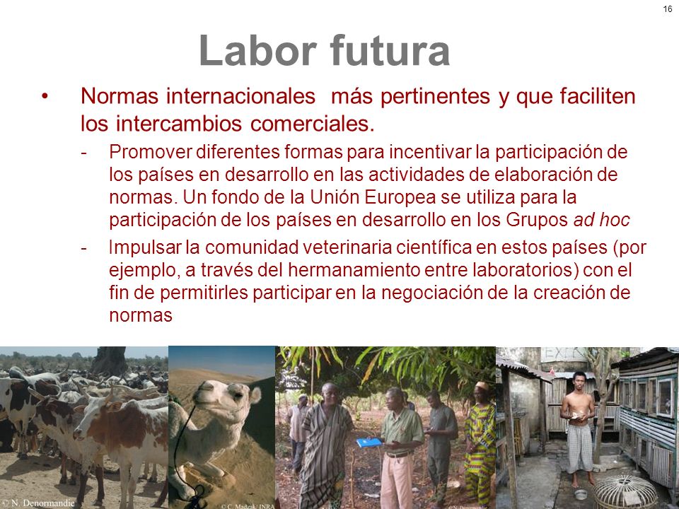 Labor futura Normas internacionales más pertinentes y que faciliten los intercambios comerciales.