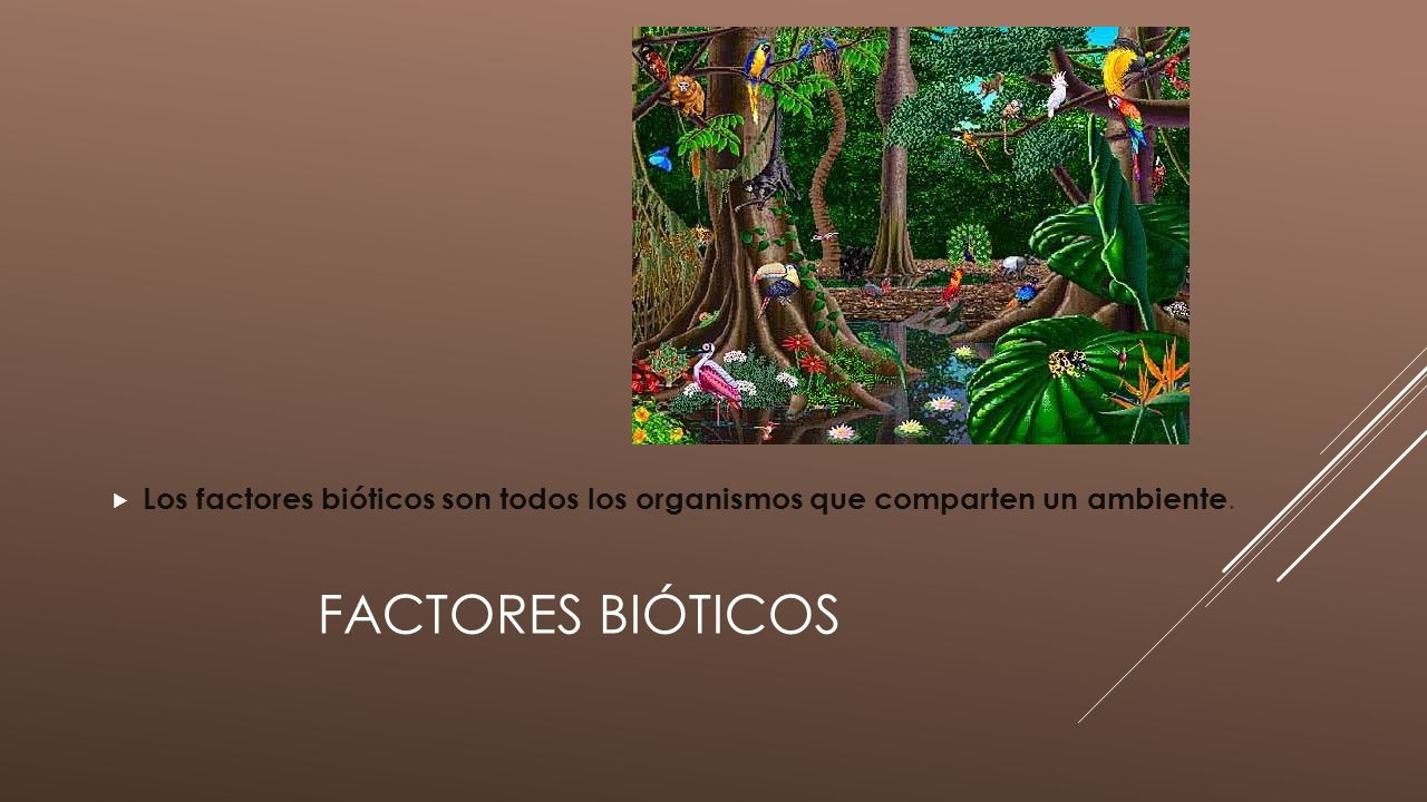 Los factores bióticos son todos los organismos que comparten un ambiente.