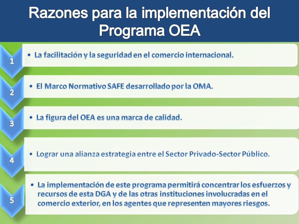 Razones para la implementación del Programa OEA