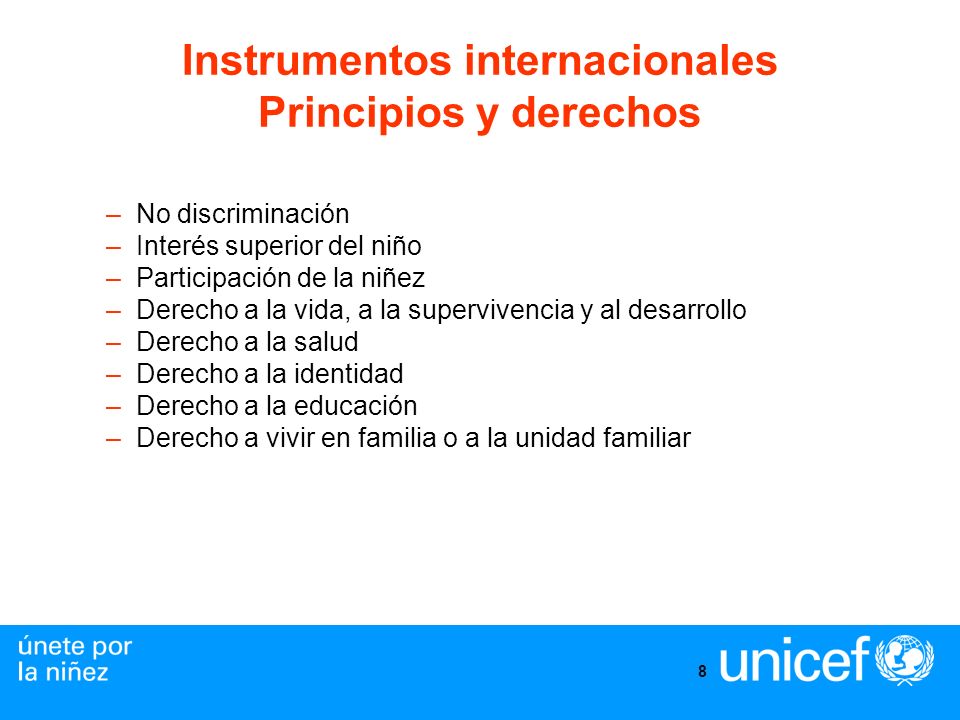 Instrumentos internacionales Principios y derechos