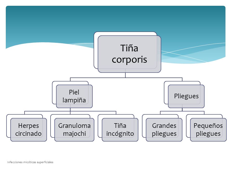 Tiña corporis Piel lampiña Herpes circinado Granuloma majochi