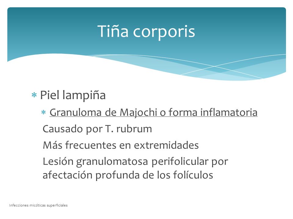 Tiña corporis Piel lampiña Granuloma de Majochi o forma inflamatoria