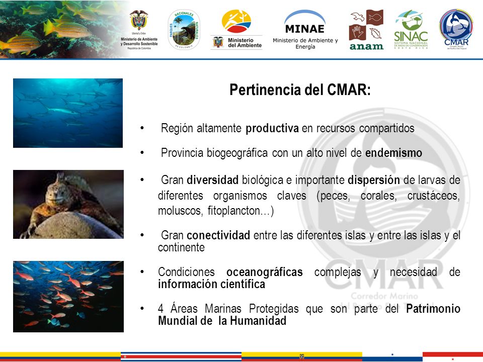 Pertinencia del CMAR: Región altamente productiva en recursos compartidos. Provincia biogeográfica con un alto nivel de endemismo.