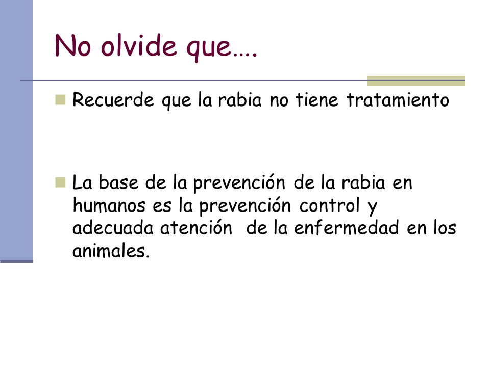 No olvide que…. Recuerde que la rabia no tiene tratamiento