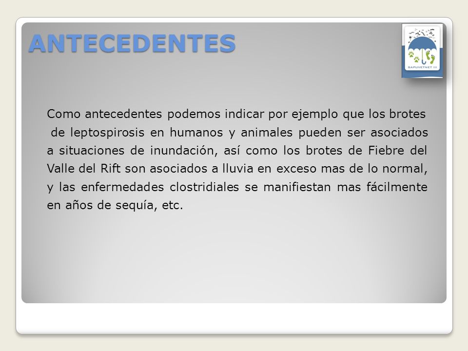 ANTECEDENTES Como antecedentes podemos indicar por ejemplo que los brotes.