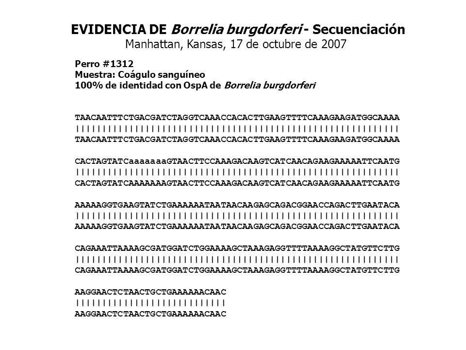 EVIDENCIA DE Borrelia burgdorferi - Secuenciación Manhattan, Kansas, 17 de octubre de 2007