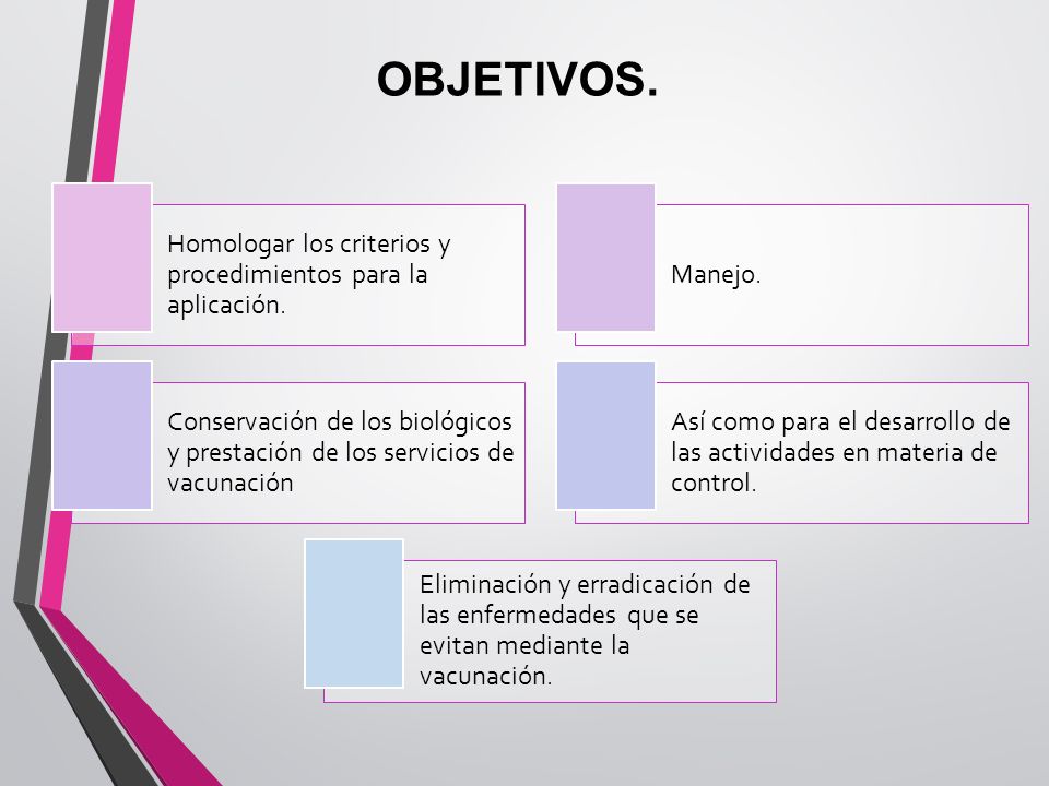OBJETIVOS. Homologar los criterios y procedimientos para la aplicación. Manejo.