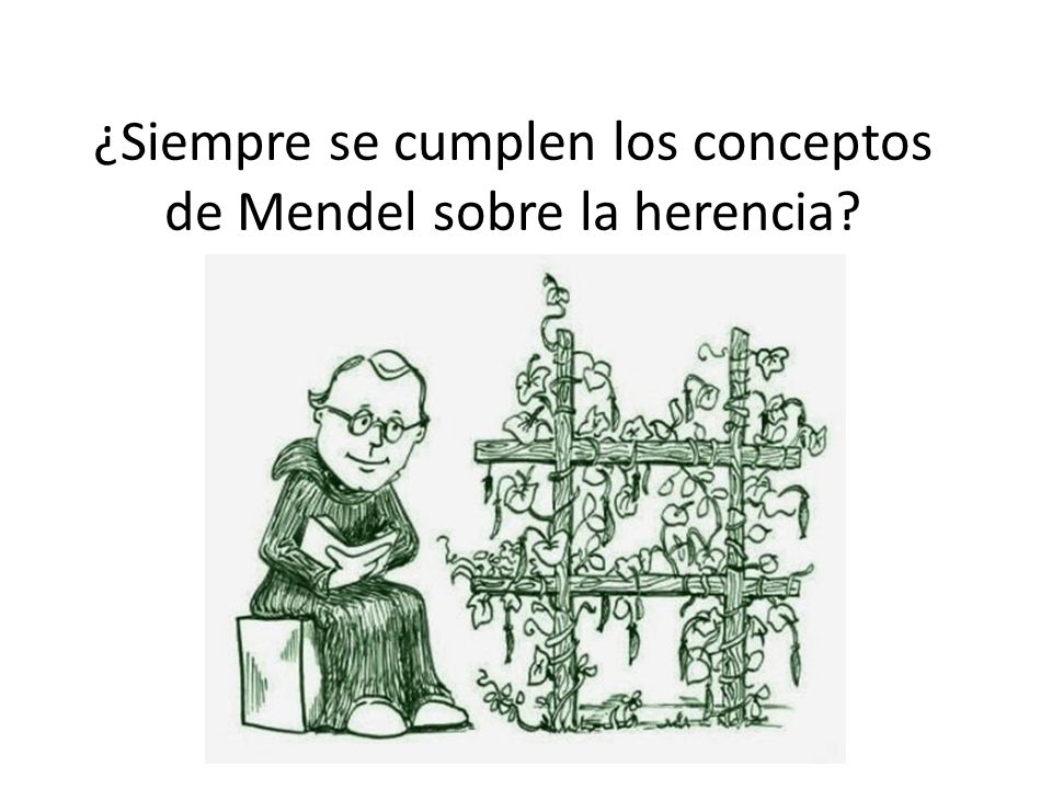 ¿Siempre se cumplen los conceptos de Mendel sobre la herencia