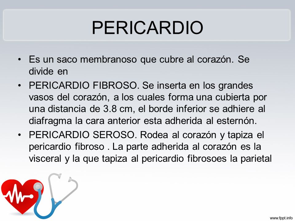 PERICARDIO Es un saco membranoso que cubre al corazón. Se divide en