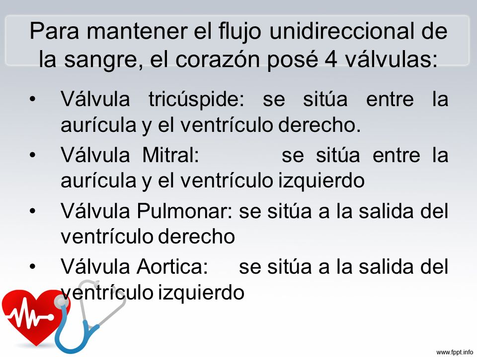 Para mantener el flujo unidireccional de la sangre, el corazón posé 4 válvulas: