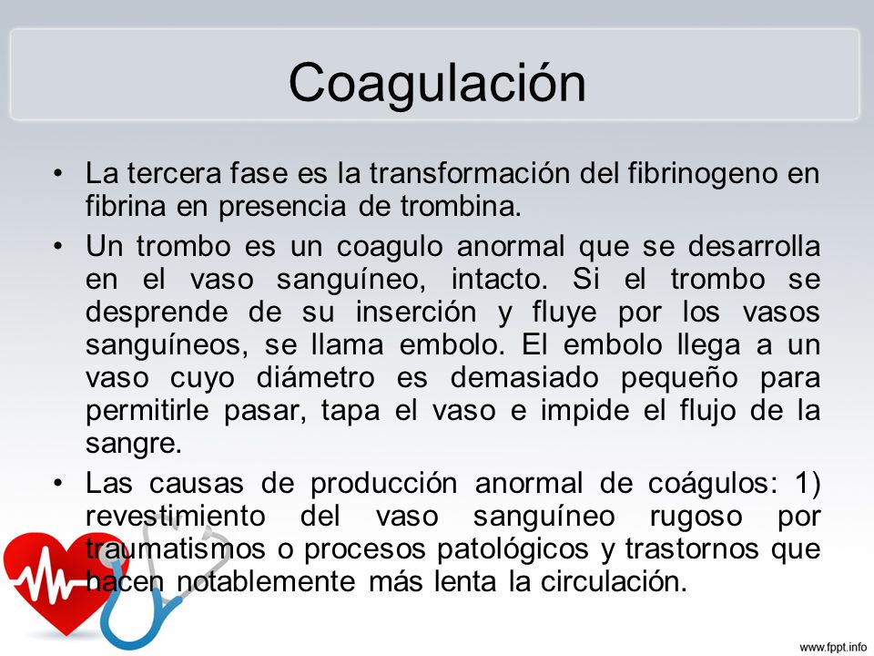 Coagulación La tercera fase es la transformación del fibrinogeno en fibrina en presencia de trombina.