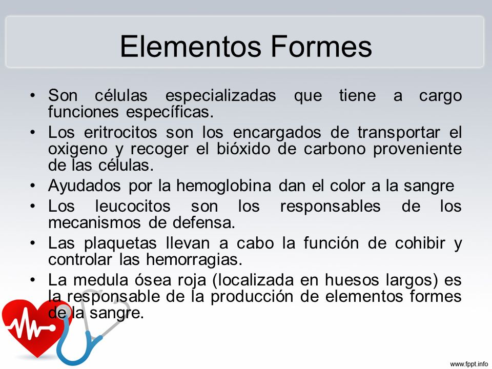 Elementos Formes Son células especializadas que tiene a cargo funciones específicas.