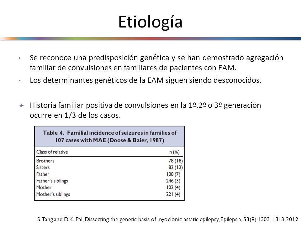 Etiología Se reconoce una predisposición genética y se han demostrado agregación familiar de convulsiones en familiares de pacientes con EAM.