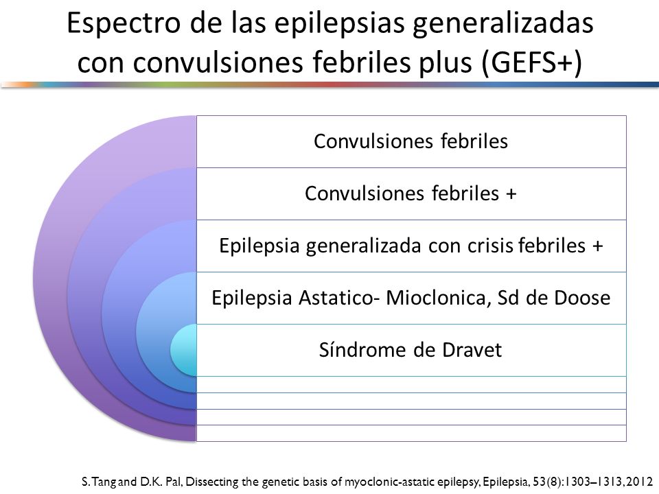 Espectro de las epilepsias generalizadas con convulsiones febriles plus (GEFS+)