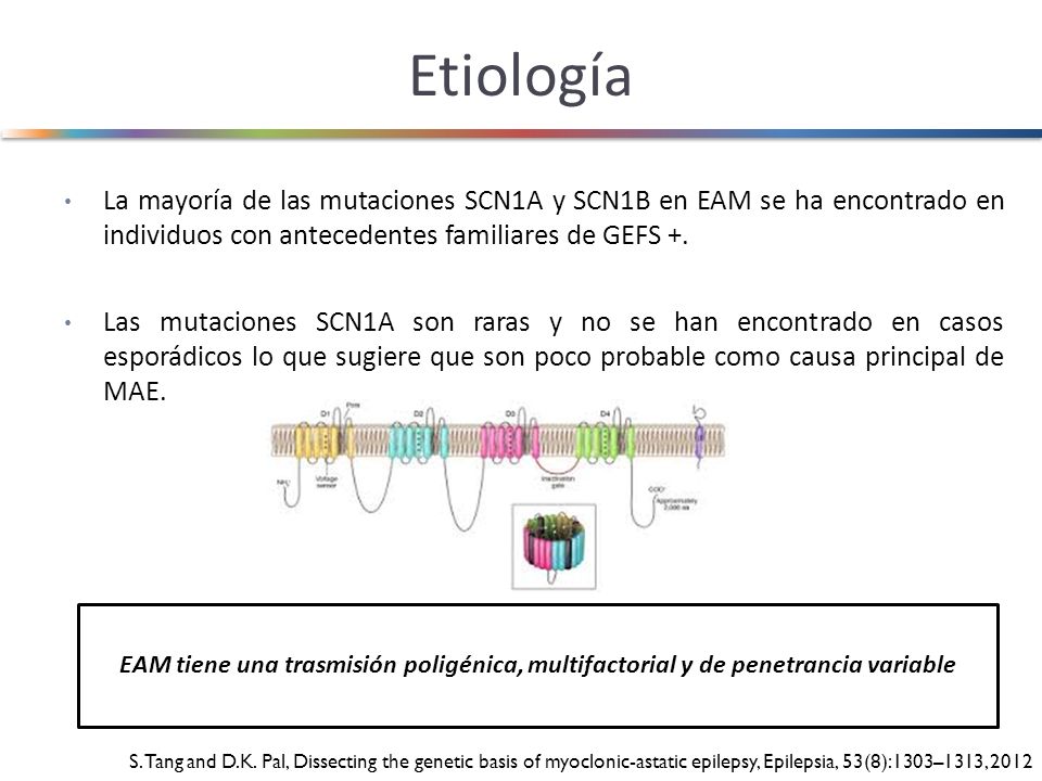 Etiología (Klassen et al., 2011)