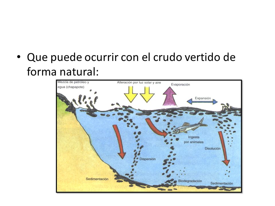 Que puede ocurrir con el crudo vertido de forma natural: