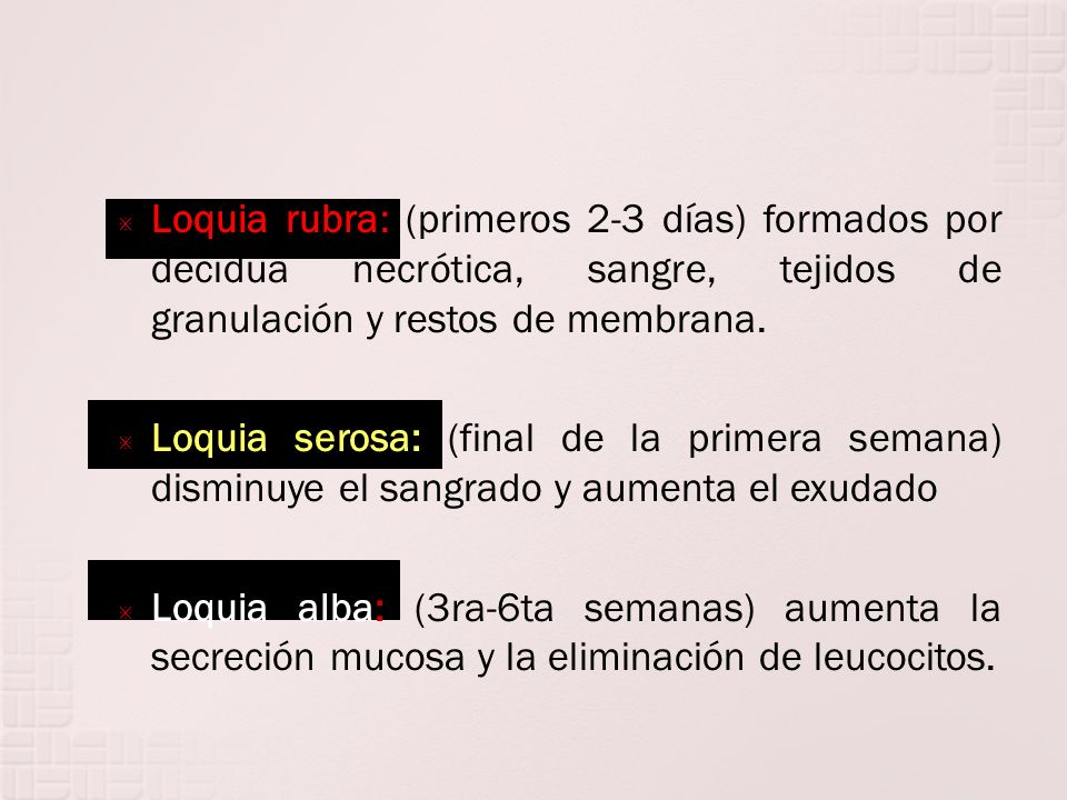 Loquia rubra: (primeros 2-3 días) formados por decidua necrótica, sangre, tejidos de granulación y restos de membrana.