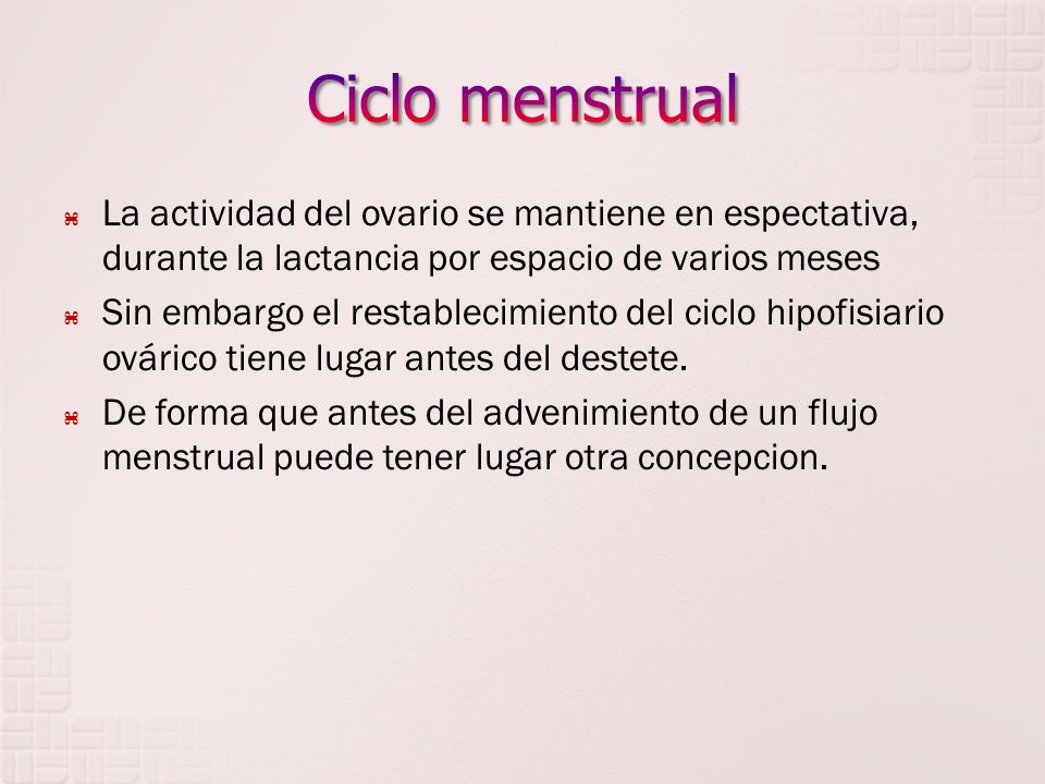 Ciclo menstrual La actividad del ovario se mantiene en espectativa, durante la lactancia por espacio de varios meses.