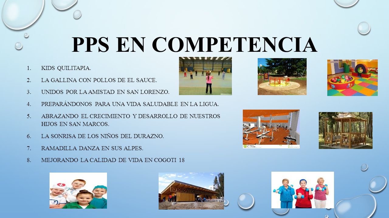 PPS EN COMPETENCIA KIDS QUILITAPIA. LA GALLINA CON POLLOS DE EL SAUCE.