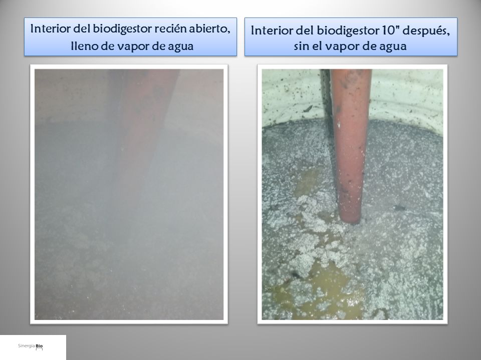 Interior del biodigestor 10 después, sin el vapor de agua