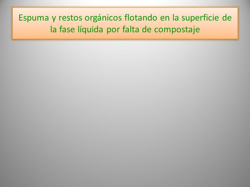Espuma y restos orgánicos flotando en la superficie de la fase líquida por falta de compostaje