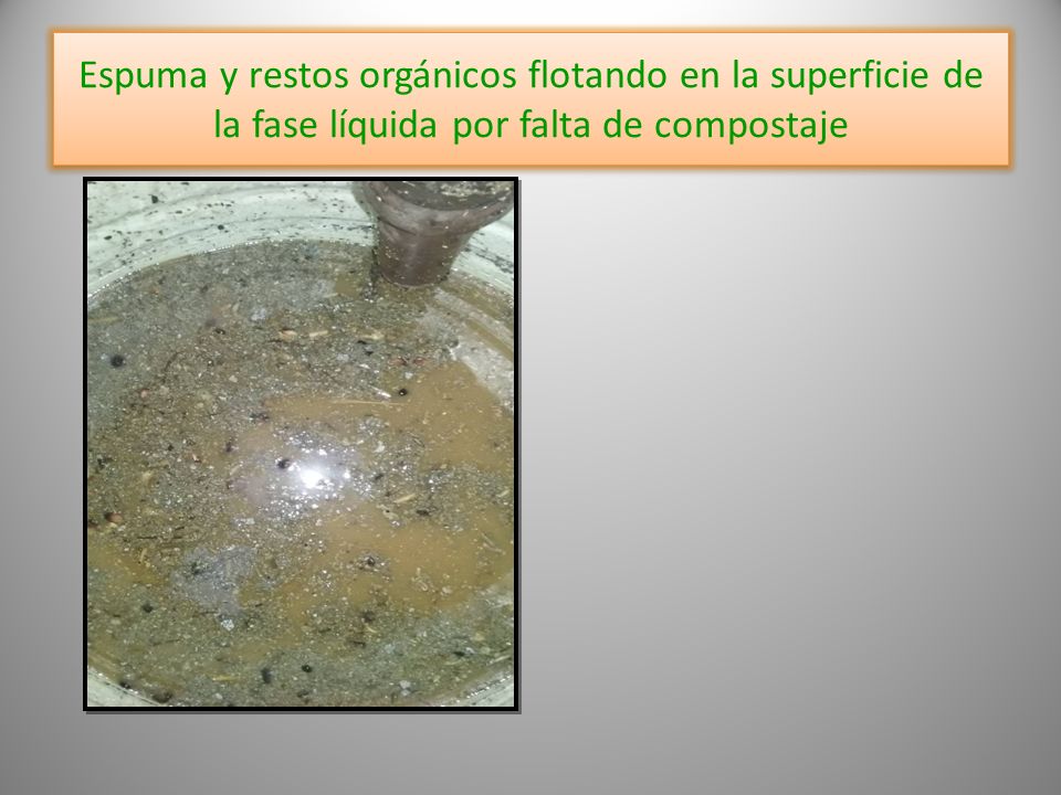 Espuma y restos orgánicos flotando en la superficie de la fase líquida por falta de compostaje