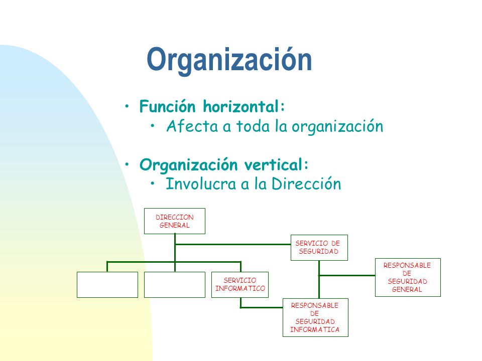 Organización Función horizontal: Afecta a toda la organización