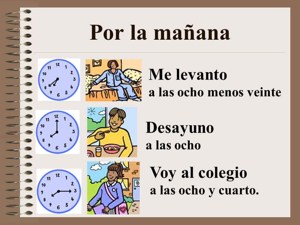 Por la mañana Me levanto Desayuno Voy al colegio