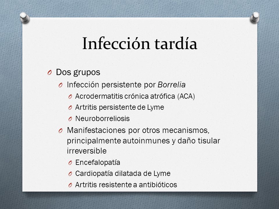 Infección tardía Dos grupos Infección persistente por Borrelia