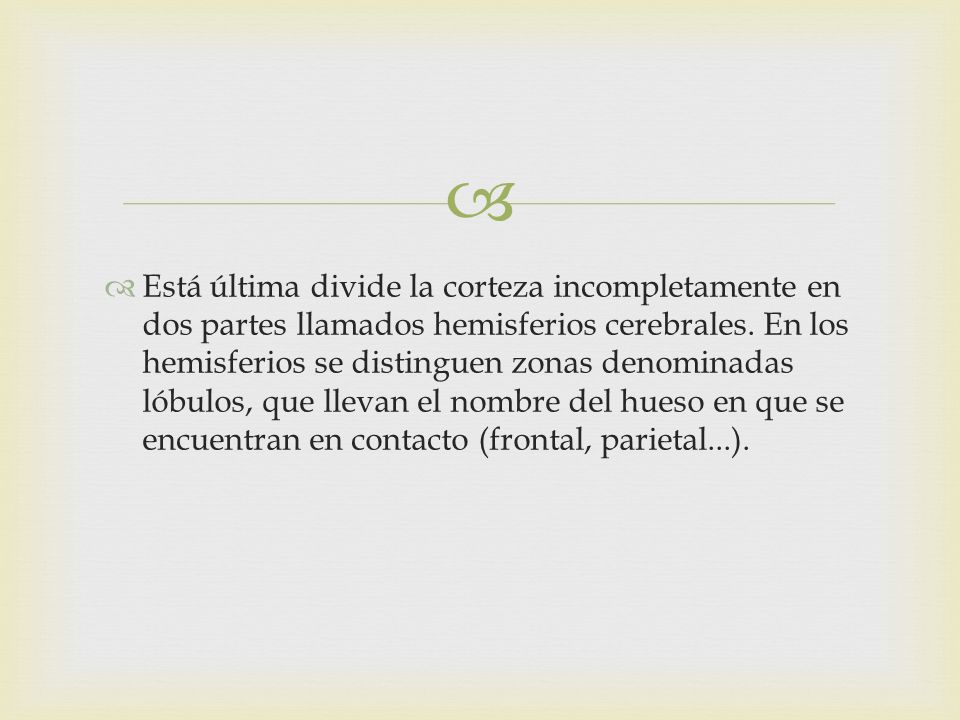 Está última divide la corteza incompletamente en dos partes llamados hemisferios cerebrales.