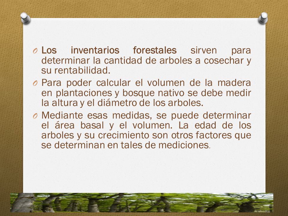 Los inventarios forestales sirven para determinar la cantidad de arboles a cosechar y su rentabilidad.