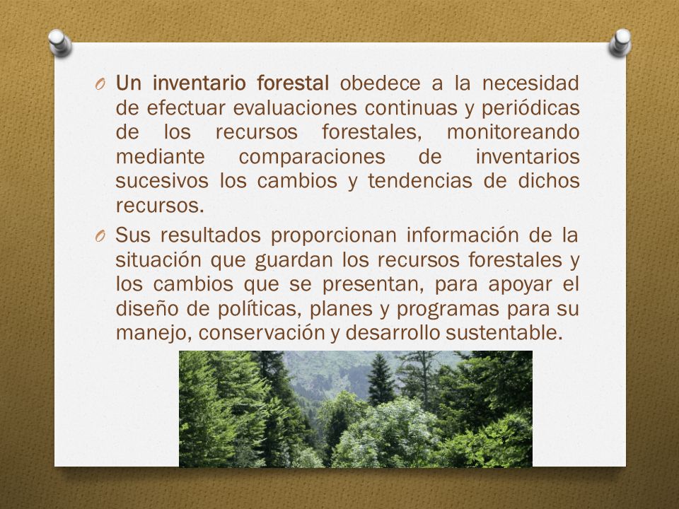 Un inventario forestal obedece a la necesidad de efectuar evaluaciones continuas y periódicas de los recursos forestales, monitoreando mediante comparaciones de inventarios sucesivos los cambios y tendencias de dichos recursos.