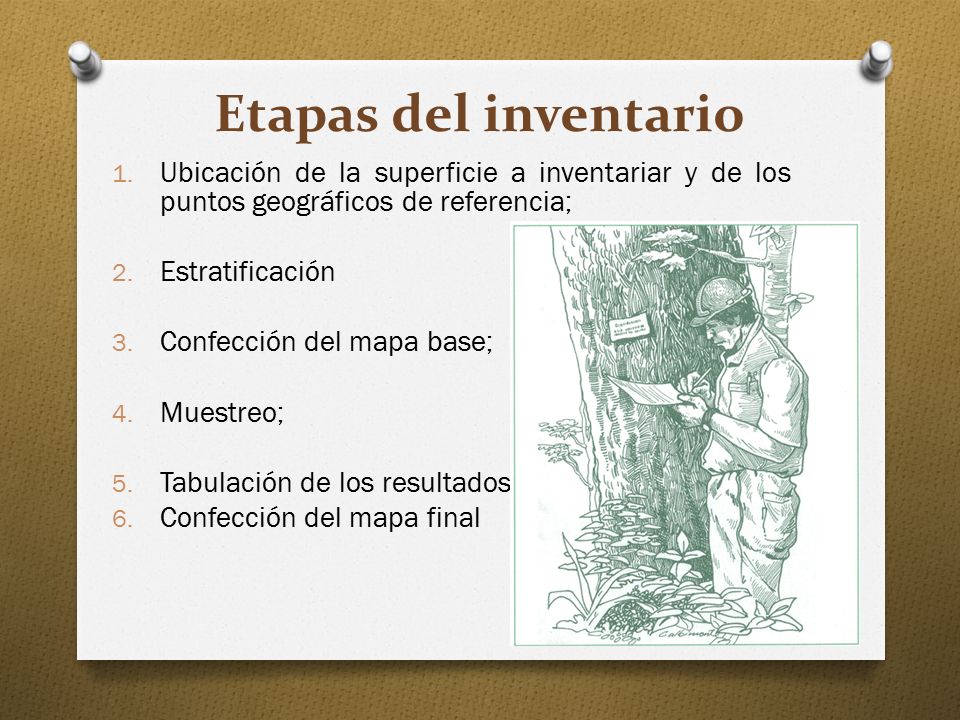 Etapas del inventario Ubicación de la superficie a inventariar y de los puntos geográficos de referencia;