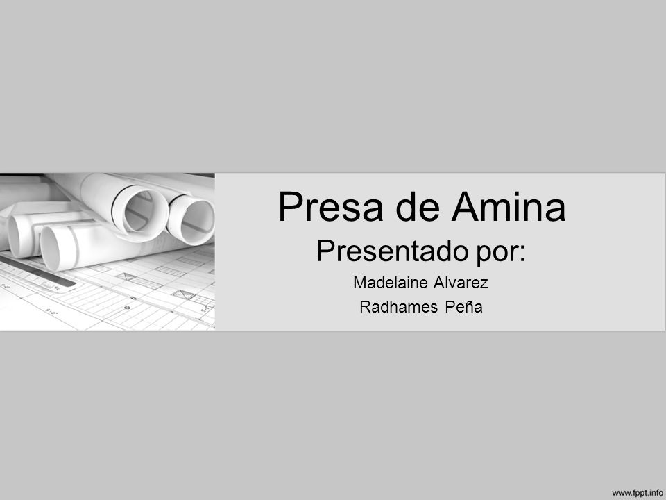 Presa de Amina Presentado por: Madelaine Alvarez Radhames Peña