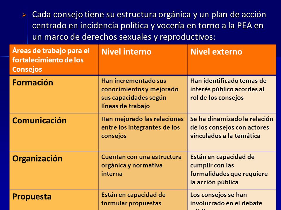 Cada consejo tiene su estructura orgánica y un plan de acción centrado en incidencia política y vocería en torno a la PEA en un marco de derechos sexuales y reproductivos: