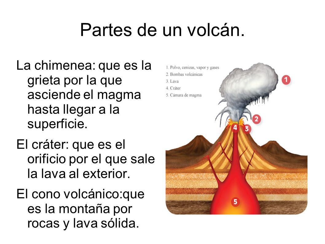 Partes de un volcán. La chimenea: que es la grieta por la que asciende el magma hasta llegar a la superficie.
