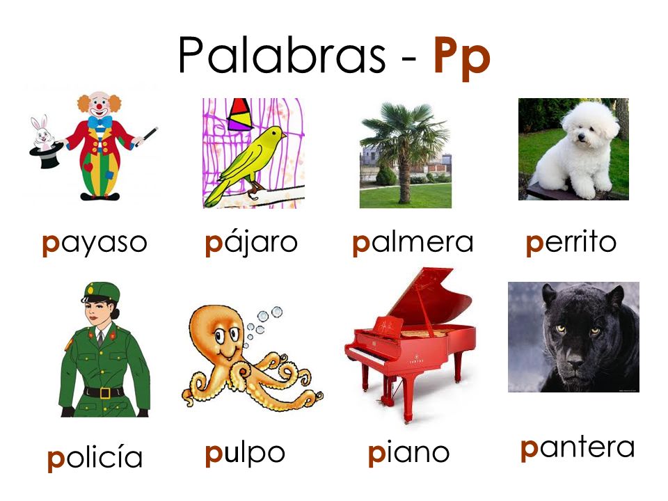 Palabras - Pp payaso pájaro palmera perrito pantera pulpo piano